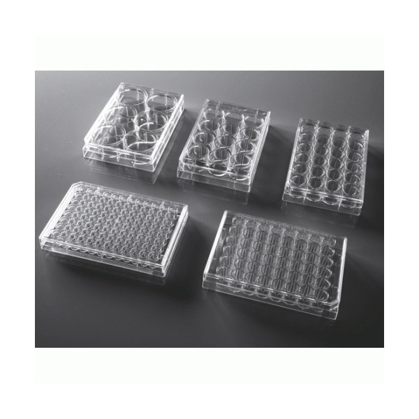 24 Well Cell Culture Plate Flat TC Sterile Individually Plastic